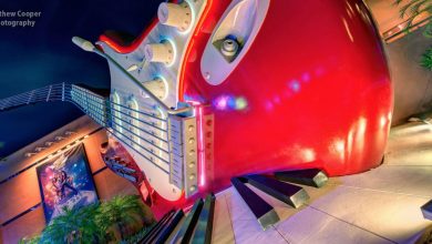 Rockin Rollercoaster
