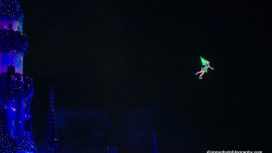 Tinkerbell Flying