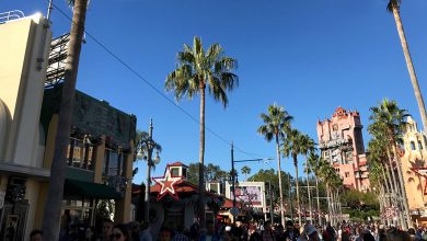 Guests stroll down Disney's palm-lined Main Street, festive with holiday decor and a view of the iconic Hollywood Tower Hotel.