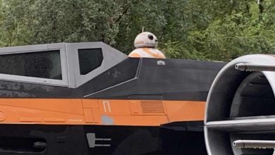 X-wing with BB-8 behind the cockpit, nestled among trees, just like the iconic centerpiece at Star Wars: Galaxy’s Edge.