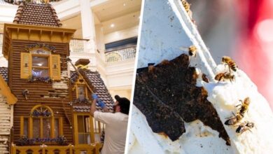 An expert pastry chef assembles an elaborate gingerbread house; bees swarm over a delectable cake at a dessert showcase.