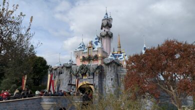 Sleeping Beauty Castle decked out for the holidays at Disneyland, with festive crowds on the bridge under overcast skies.