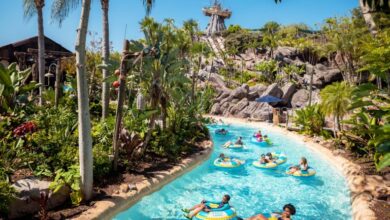 Guests relax in tubes on Castaway Creek, surrounded by lush plants at Typhoon Lagoon, closed January 11–12 for maintenance.