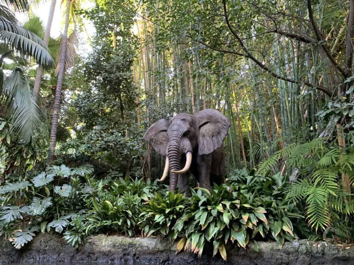 An elephant in lush jungle foliage and towering bamboo, evoking the immersive adventure vibe of Disneyland’s Jungle Cruise attraction.