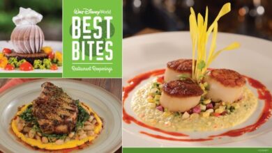 A spread of Disney World gourmet dishes under the banner “Best Bites Restaurant Happenings” for park foodies.