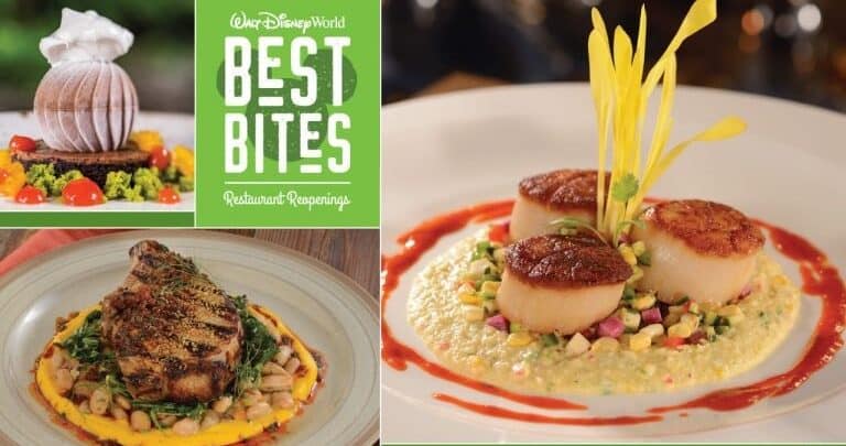 A spread of Disney World gourmet dishes under the banner “Best Bites Restaurant Happenings” for park foodies.