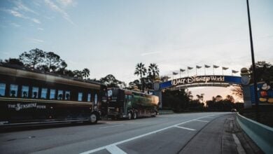 A Disney bus cruises beneath the iconic Walt Disney World entrance arch at sunset, framed by palm trees in true magical style.