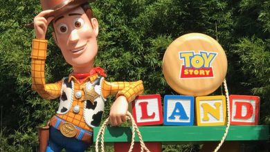 Toy Story Land