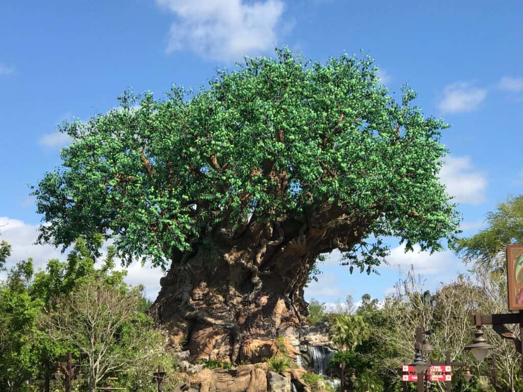 The iconic Tree of Life, with its massive trunk and lush green canopy, towers under a bright sky at Disney’s Animal Kingdom.