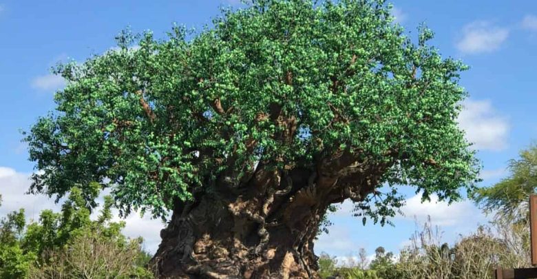 The iconic Tree of Life, with its massive trunk and lush green canopy, towers under a bright sky at Disney’s Animal Kingdom.