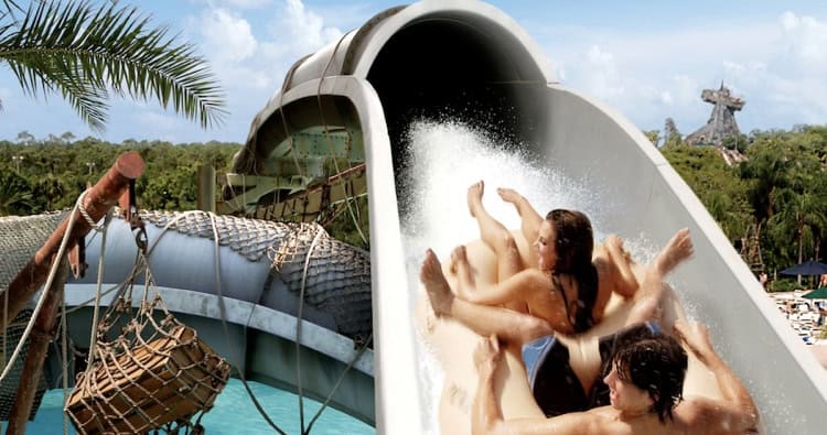 A group races down the Storm Slides at Disney’s Typhoon Lagoon, splashing through lush palms under clear blue skies.