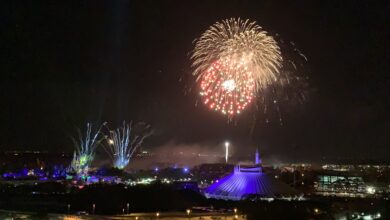 Spectacular fireworks light up the night sky above EPCOT, with Spaceship Earth glowing in dazzling white below.