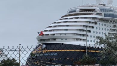 A majestic cruise liner, ready for adventure, sits docked beyond a chain-link fence and parking lot under overcast skies.