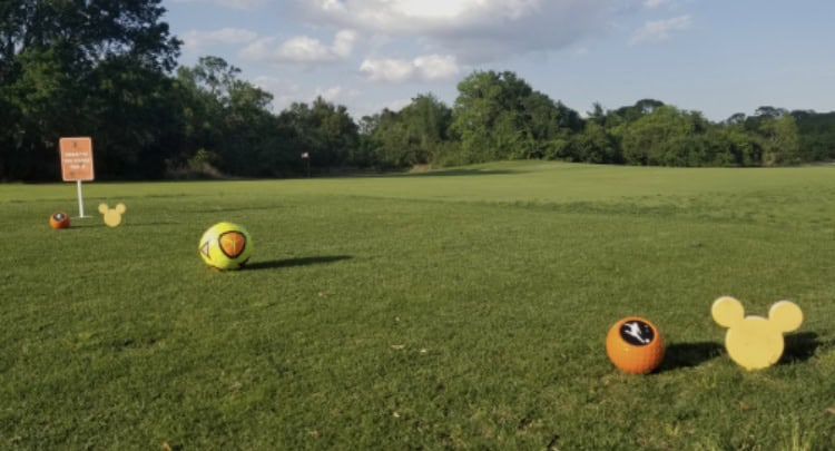 Soccer balls and Mickey Mouse markers dot a green field near whimsical trees and a playful Disney-themed sign in the distance.