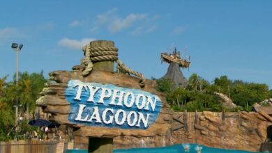 Typhoon Lagoon entrance sign in front of Disney’s iconic water park, featuring the Miss Tilly shipwreck atop Mount Mayday.
