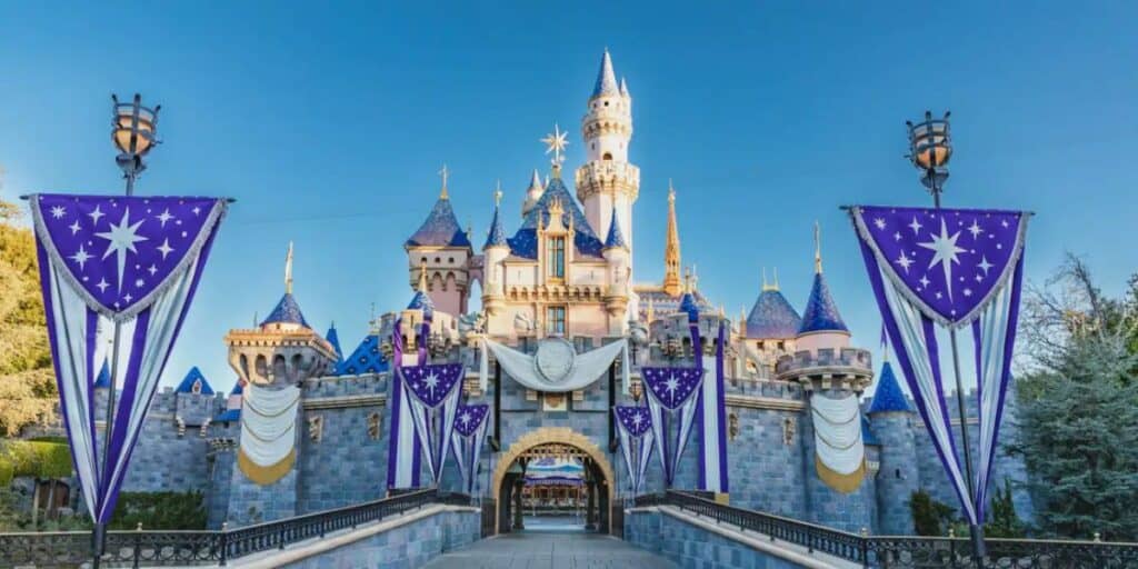 Disneyland Park Castle