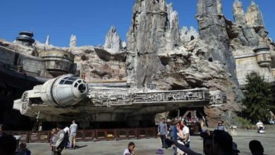 Visitors stroll around the Millennium Falcon at Galaxy's Edge