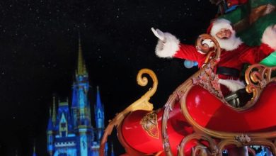 Santa Claus rides in a festive red sleigh at Magic Kingdom