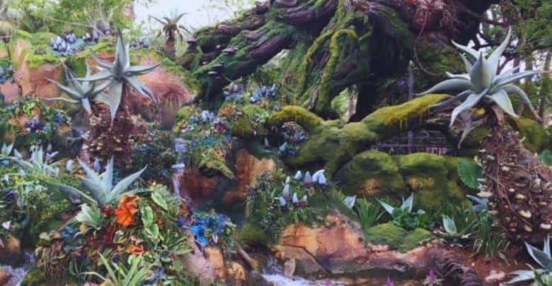 Pandora- The World of Avatar at Disney's Animal Kingdom