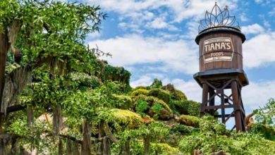The Tiana’s Foods water tower rises amid lush foliage and bright skies, marking the arrival of Tiana’s Bayou Adventure at Disney.