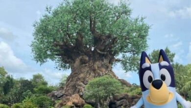 Bluey greets guests at Disney’s Animal Kingdom, standing before the Tree of Life and ready to join the virtual queue for fun.