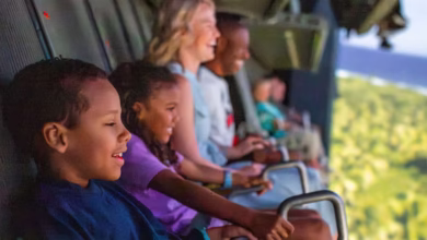 Guests of all ages enjoy Soarin’ as they glide over lush scenery and sparkling seas, grinning throughout the breathtaking ride.