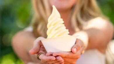 DOLE Whip