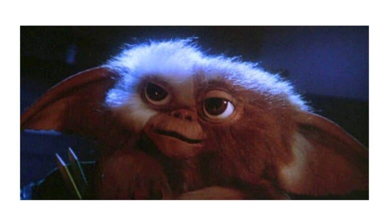 Gizmo, the beloved furry, big-eared Mogwai from Warner Bros., sits bathed in blue light with wide eyes and a curious expression—just like you might find him anticipating the next magical moment at a Gremlins-themed attraction or immersive experience.