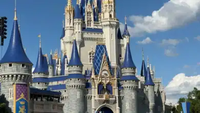 Cinderella Castle at Magic Kingdom under a winter weather warning.