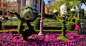 Lush bushes in a serene park area create an inviting spot—ideal for Disney fans to plan their next magical adventure.