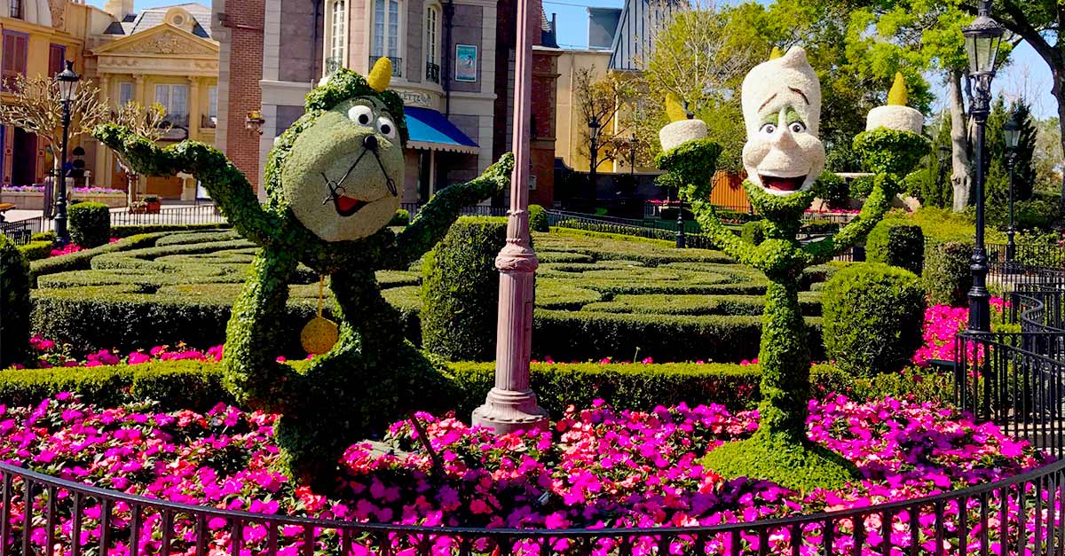 Lush bushes in a serene park area create an inviting spot—ideal for Disney fans to plan their next magical adventure.