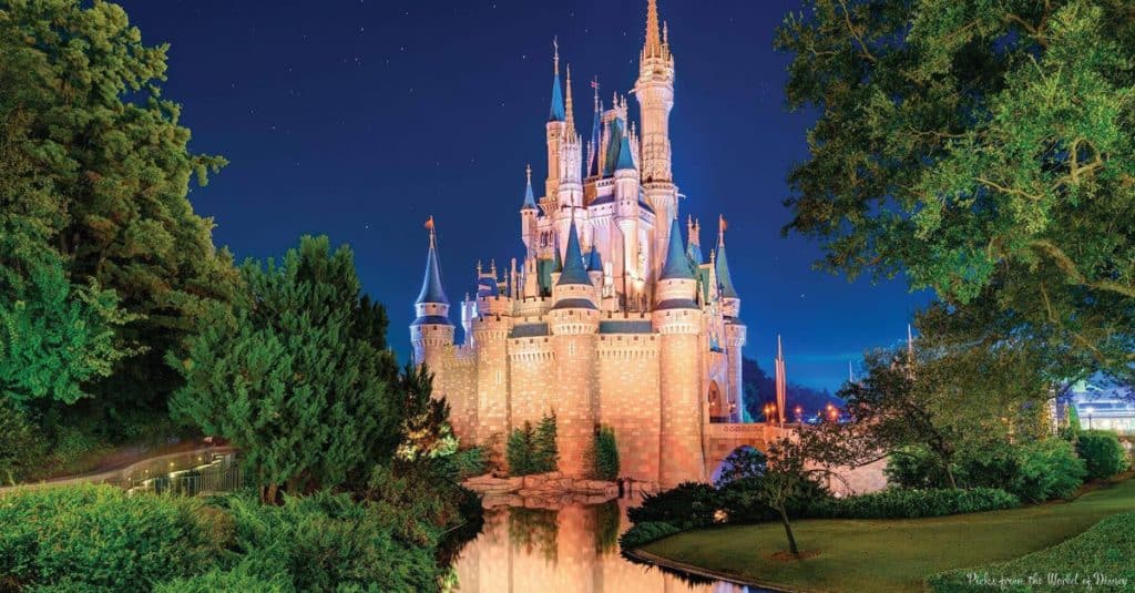 magic-kingdom-night