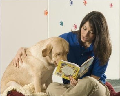 A woman and her yellow lab sit on the floor, reading a vibrant book—paw prints on the wall hint at Disney parks dreams together.