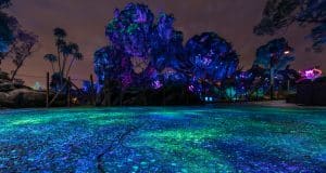 The ground and trees glow with vibrant blue, green, and purple lights, creating magical nighttime moments at Walt Disney World.