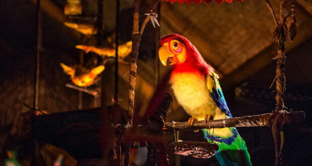 A colorful animatronic parrot with red, yellow, blue, and green feathers sits on a perch in a dimly lit, tropical-themed setting as catchy Disney songs play. Other bird figures are visible in the background.