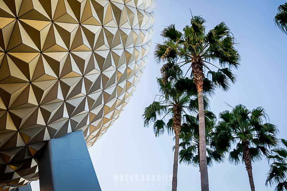 Spaceship Earth gleams at Epcot, surrounded by palm trees and set against a brilliant blue sky—pure Disney World magic.