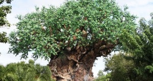 The Tree of Life at Animal Kingdom, its trunk carved with animals, rises among lush greenery under a bright blue Florida sky.