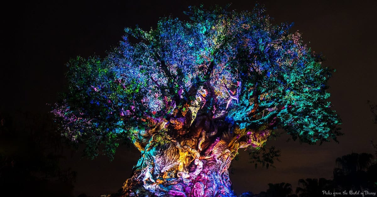 The Tree of Life at Disney’s Animal Kingdom glows with vibrant nighttime lights, its trunk detailed with magnificent animal carvings.