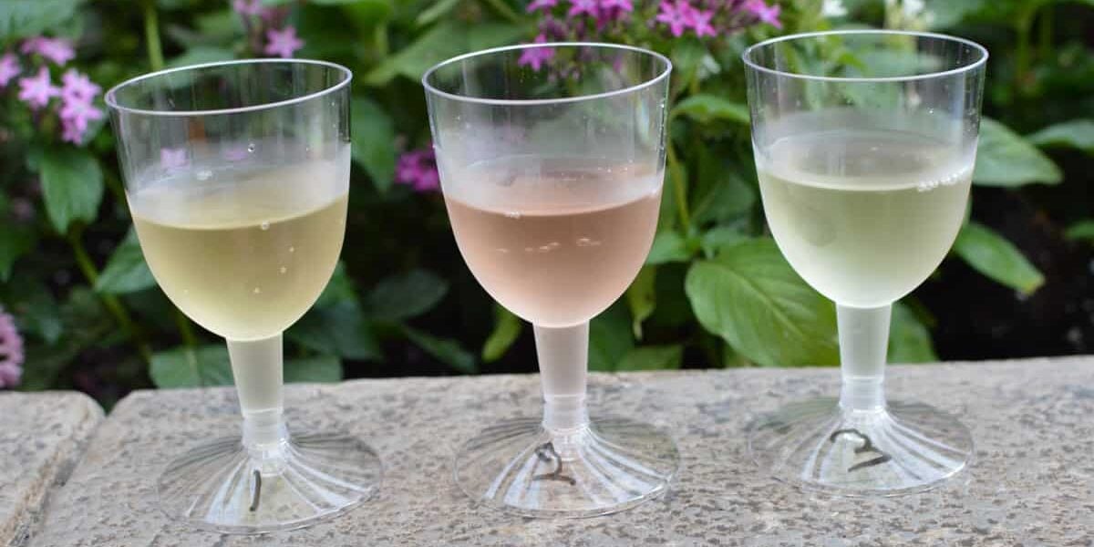 Epcot France Les Vins de France Wine Room Light Flight 2