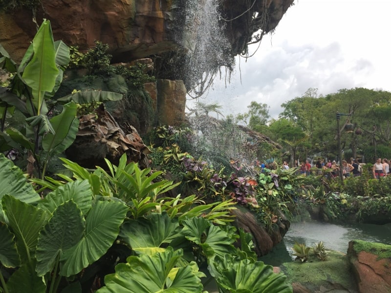 Verdant foliage and a cascading waterfall at Animal Kingdom, with guests immersed in the park’s thrilling attractions nearby.