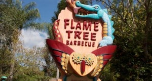 flame-tree-barbecue-animal-kingdom