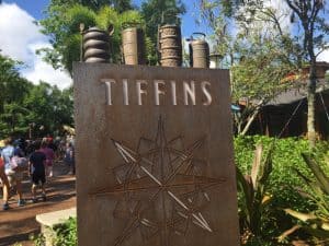 tiffins-animal-kingdom