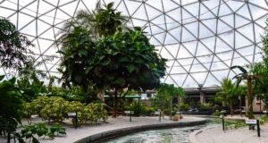 Journey through lush tropical foliage and winding streams inside EPCOT’s Living with the Land glass dome. Hidden Mickeys await!.