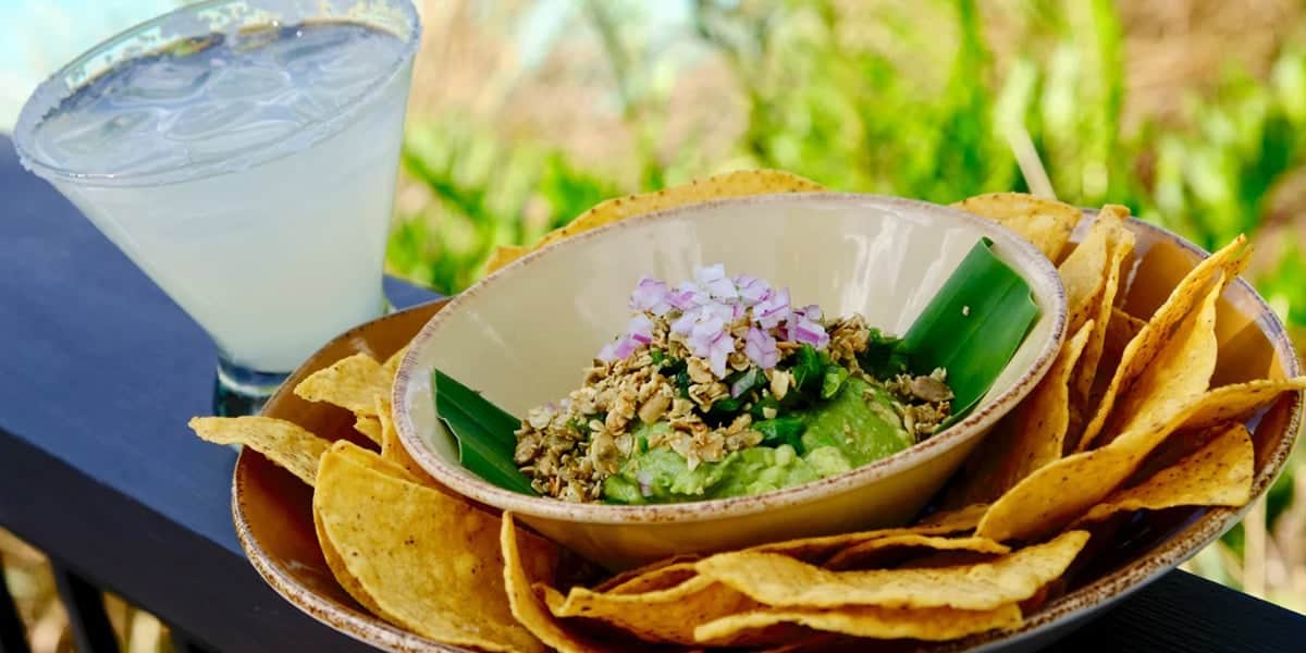 A bowl of guacamole topped with onions and seeds, surrounded by tortilla chips, sits next to a margarita on an outdoor table with greenery—an inviting scene at one of the best Disney Springs restaurants.