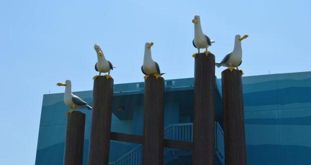 Four seagull statues on wooden posts evoke Disney Springs vibes, set against a blue building and sky—great for theme park fans.