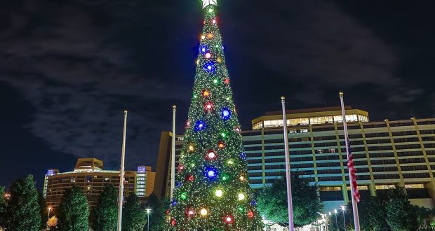A towering Christmas tree glows in front of Disney’s Contemporary Resort, creating festive magic for Walt Disney World guests at night.
