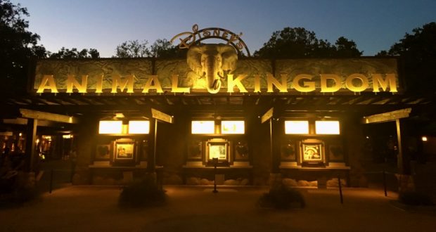 Animal Kingdom entrance at dusk, glowing sign and animal carvings above ticket windows set the stage for an epic Disney adventure.