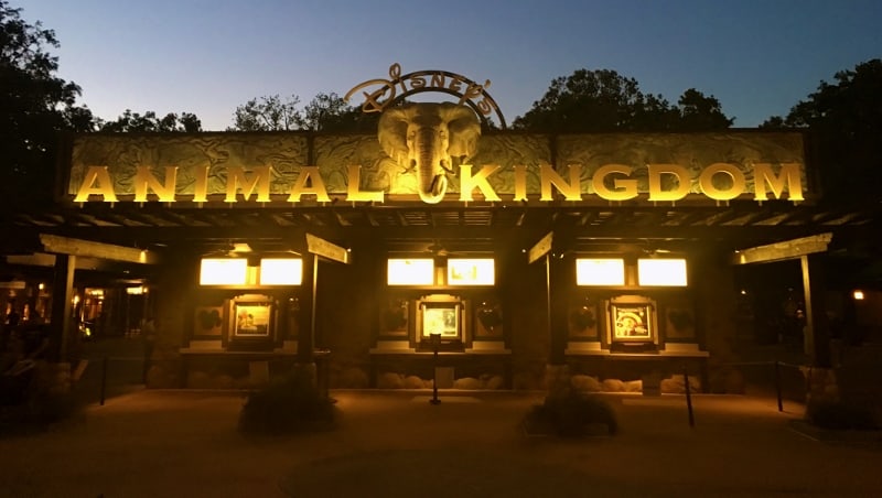 Animal Kingdom entrance at dusk, glowing sign and animal carvings above ticket windows set the stage for an epic Disney adventure.