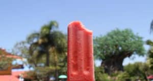 A half-eaten red popsicle held up beneath Animal Kingdom’s lush trees and blue sky—a sweet treat for your Disney adventure.