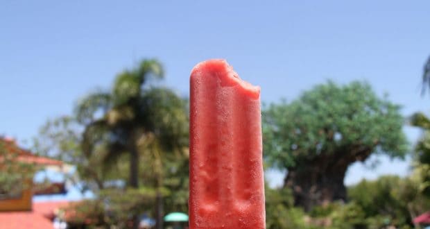 A half-eaten red popsicle held up beneath Animal Kingdom’s lush trees and blue sky—a sweet treat for your Disney adventure.